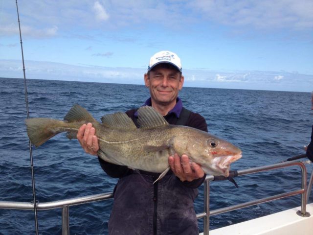 Lovely cod...