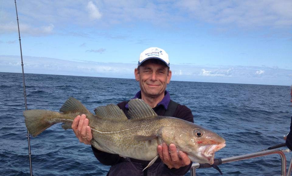 Lovely cod...