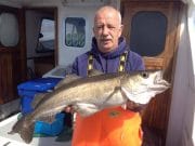 Three days fishing at Carrigaholt Carrigaholt - Pollack