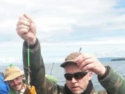 Plenty of Mackeral around the Sligo coast spurs on the fishing