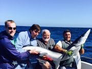 100lb+ shark for Peter after one hell of a fight ! Peter Flood from Cork had his first shark onboard Sea Breeze 3