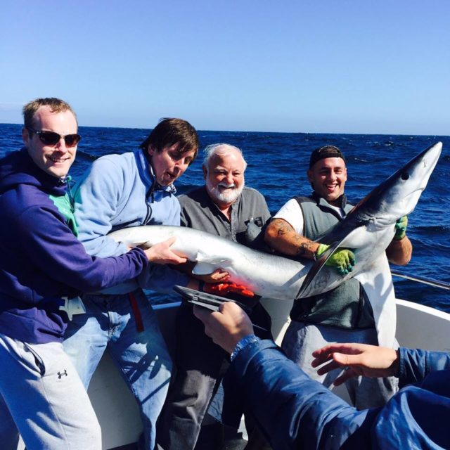 Peter Flood from Cork had his first shark onboard Sea Breeze 3