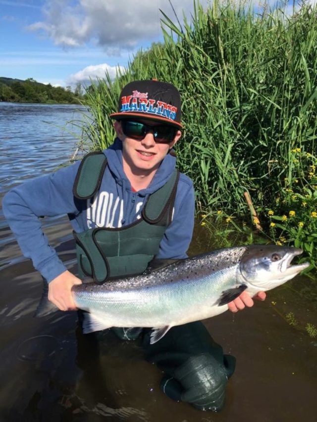 salmon
