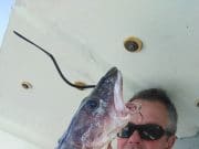 German anglers delighted with West Cork cod fishing 20lb 8oz Ling