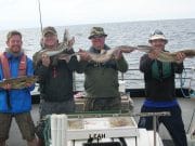 Pollack, ling and cod make a cracking day out in Killala Bay Ling, pollack & spurdog = four happy anglers!