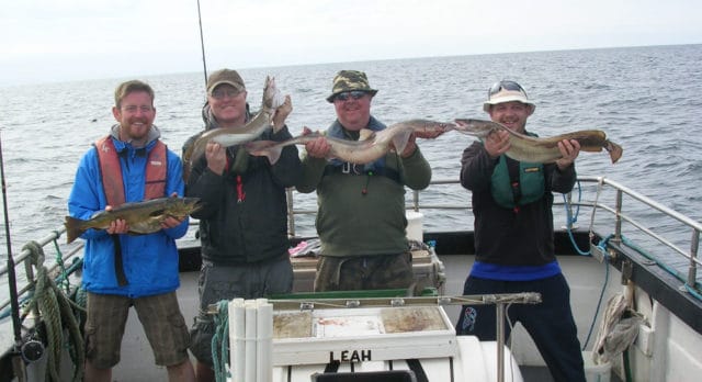 Ling, pollack & spurdog = four happy anglers!