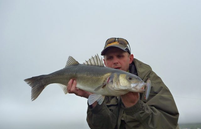 bass