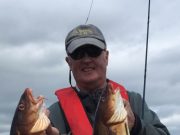 Great fishing for Richie Ryan as fish after fish come to the fly Two nice Kelpy Cod on the fly