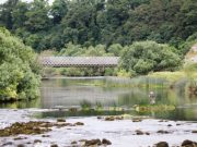 Lovely 8lb salmon for Jason Hughes on the river Boyne The beauty at Oldbridge on the River Boyne