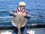 Five species of ray caught in Killala Bay!