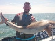 Wicklow Boat Charters still clocking up the BIG fish David Bailey with a cracking tope