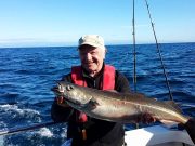 Good wreck and shark fishing at Kinsale coalfish