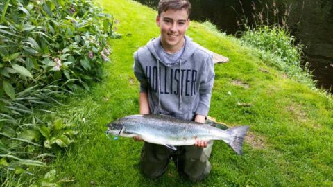 18lb salmon