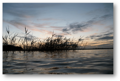 Evening Fishing - Rusheen Bay, Lough Sheelin