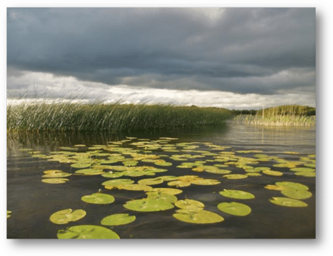 image017