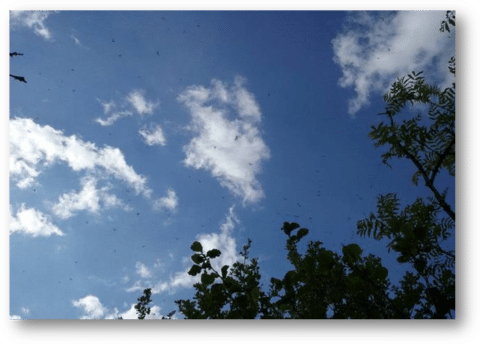image022