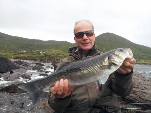 bass