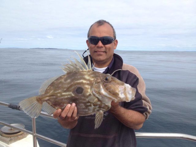 John Dory - 3.6lb
