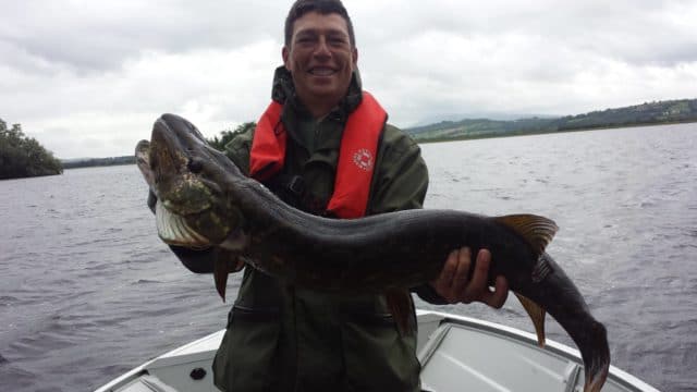 102cm pike