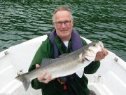 Bass anglers report Clonakilty is fishing well bass