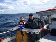 West Cork charter boats, everything from small dabs to blue dogs shark