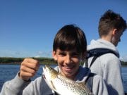 High water levels impact on angling on the Moy but good sea trout fishing in the Estuary