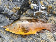 Heavy swells limit angling from west Clare marks Clare