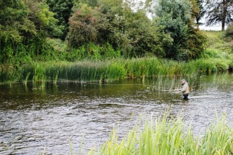 Angling Guide Marc O'Regan on the Boyne at Trim (File Pic)