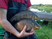 Feeder fishing works a treat on the Shannon for Sean Tallon
