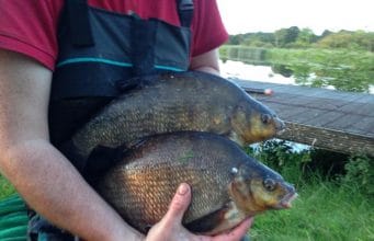 Feeder fishing works a treat on the Shannon for Sean Tallon