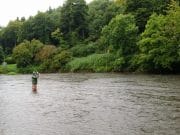 Challenging Conditions as Weather and Water Make Fishing Tough for Nick and Dave from South Africa