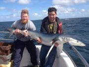 Carrigaholt anglers reap the rewards with some fine sharks, pollack and cod