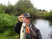 5lb grilse
