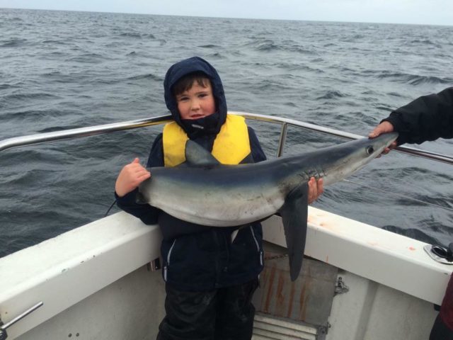 Josh the young sharker !