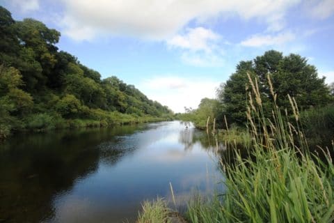 Looking Down Onto the Flats on the River Boyne