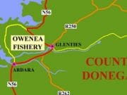10lb 2oz salmon and many good grilse from Owenea Fishery