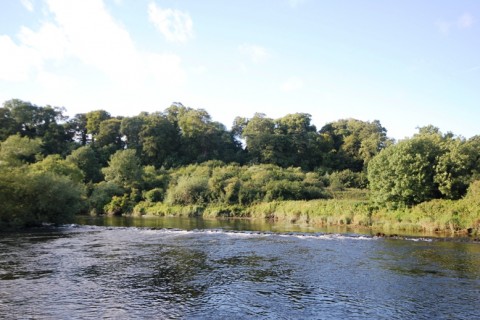 The Weir at Oldbridge on the River Boyne