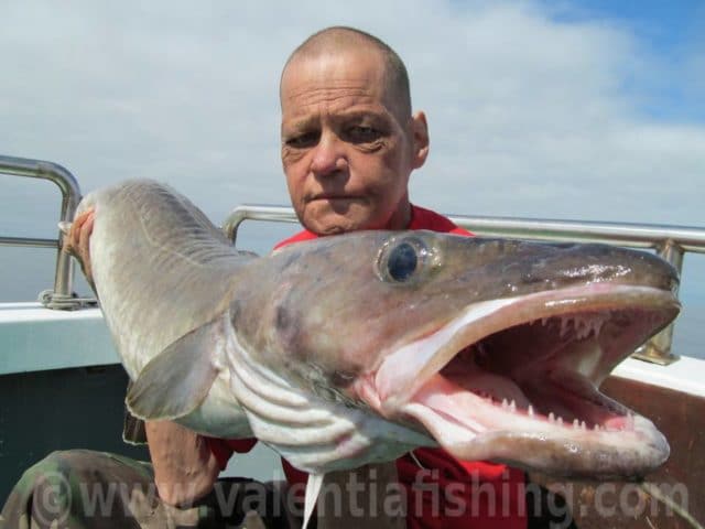 Thorsten with his specimen Ling