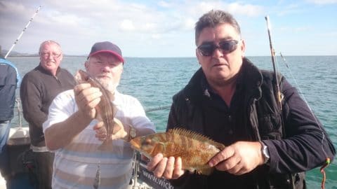 Cabra anglers with Ballan and codling