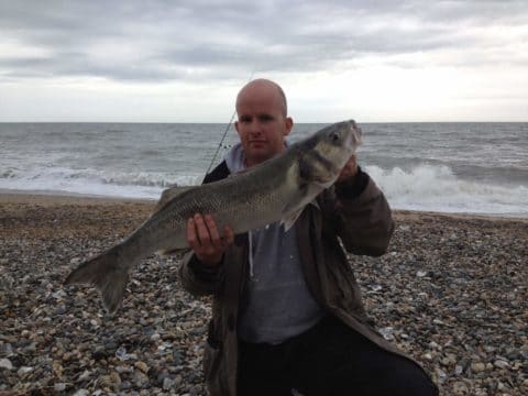 bass