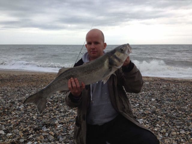 bass