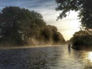 Irish Angling Update – 13/08/15 Salmon fishing on the Bandon