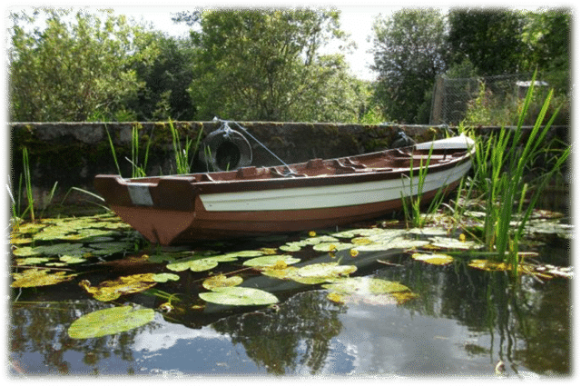 Sheelin boat takes a rest...