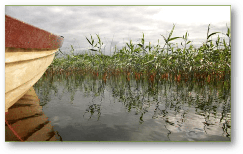 image037