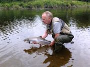 Paul Has Two Salmon in Ten Minutes on the Boyne