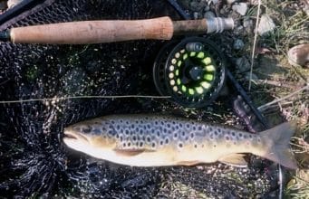 Recent Rain Good For Trout Fishing on the Fane