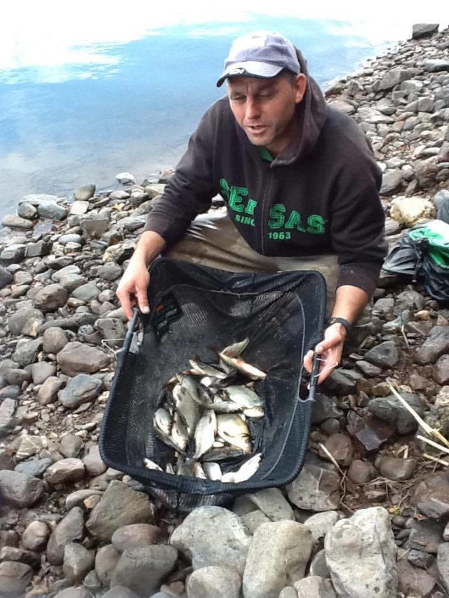 coarse angling