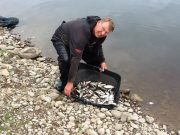 Great end to September Festivals on Inniscarra Good catches of roach were taken