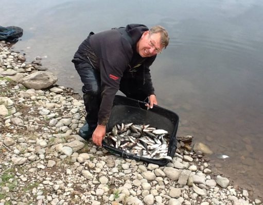 Good catches of roach were taken