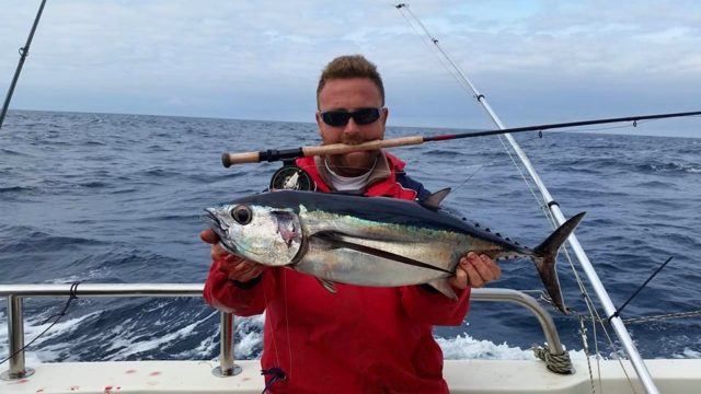 Irish tuna on fly